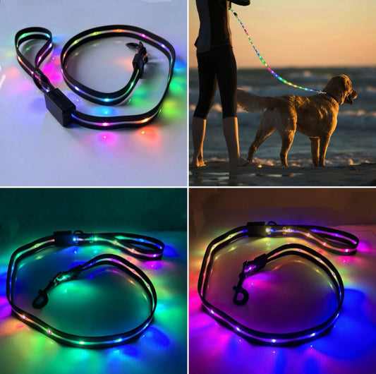 LED Dog Collar & Leash Bundle – USB Rechargeable and Waterproof