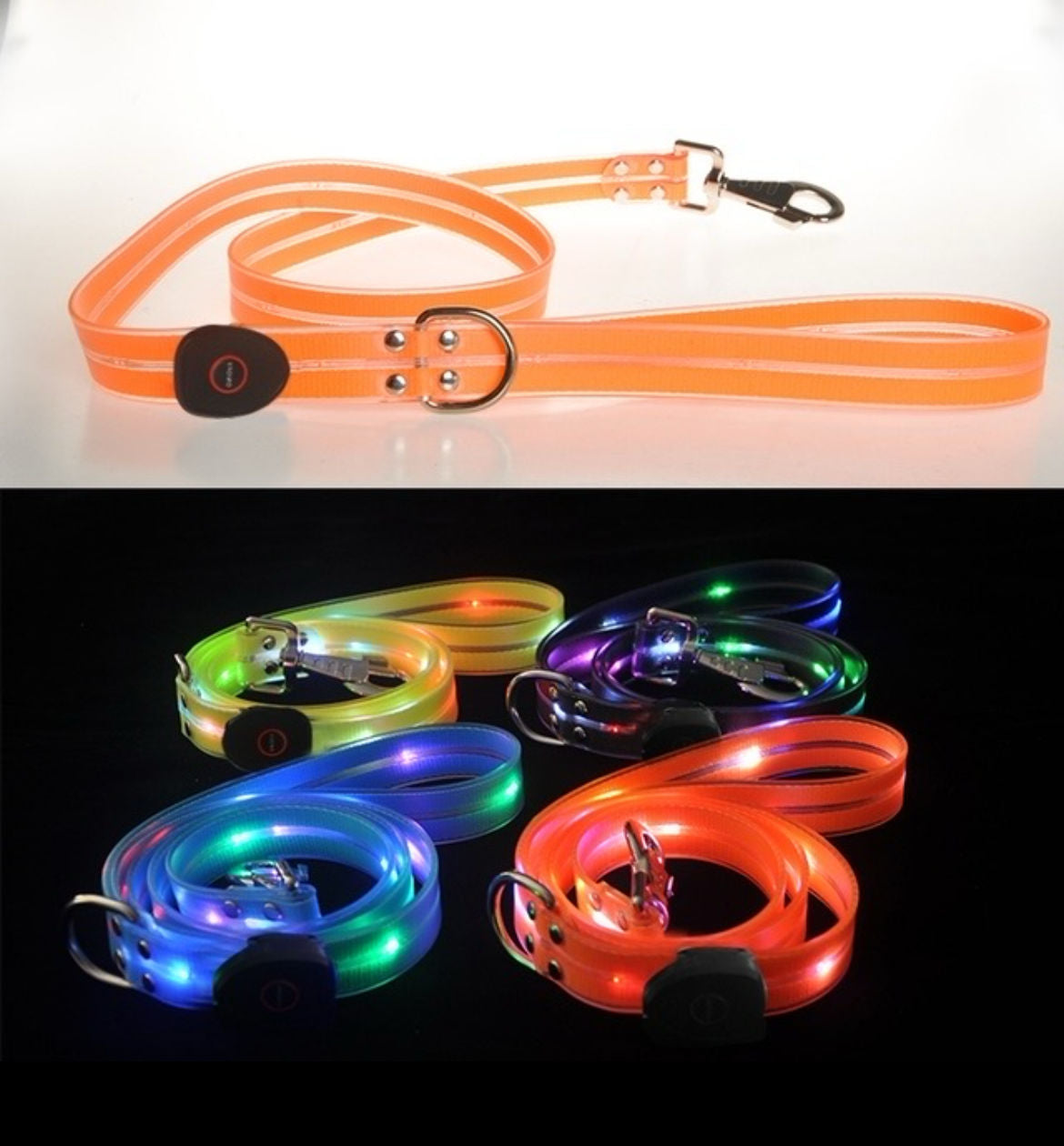 LED Dog Collar & Leash Bundle – USB Rechargeable and Waterproof